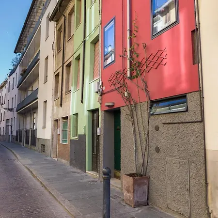 A Due Passi Della Casa Natale Del Maestro Toscanini *